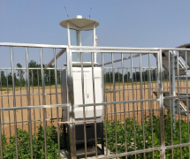 易縣農業農村局引進云飛物聯網智能蟲情測報燈